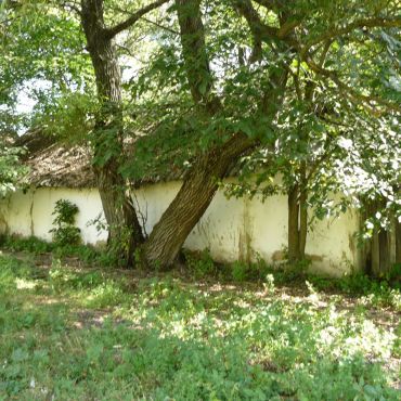 Вышние Пены