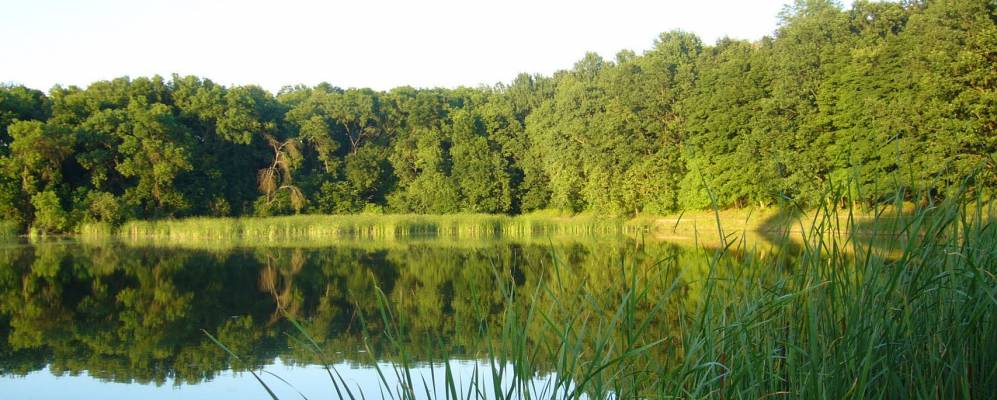 
            Фотография Ерчики