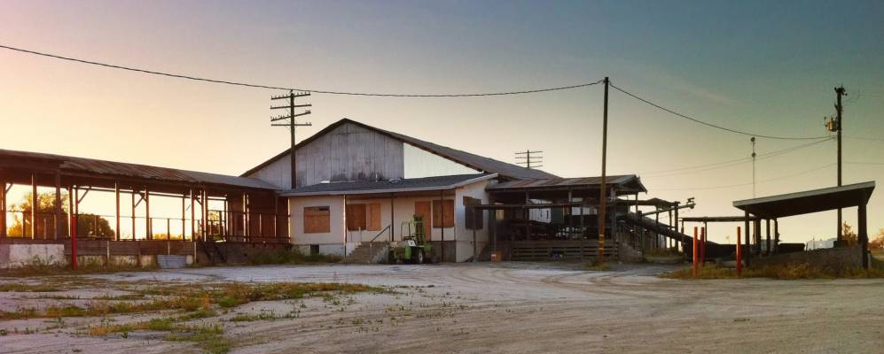 
            Фотография Тайптона