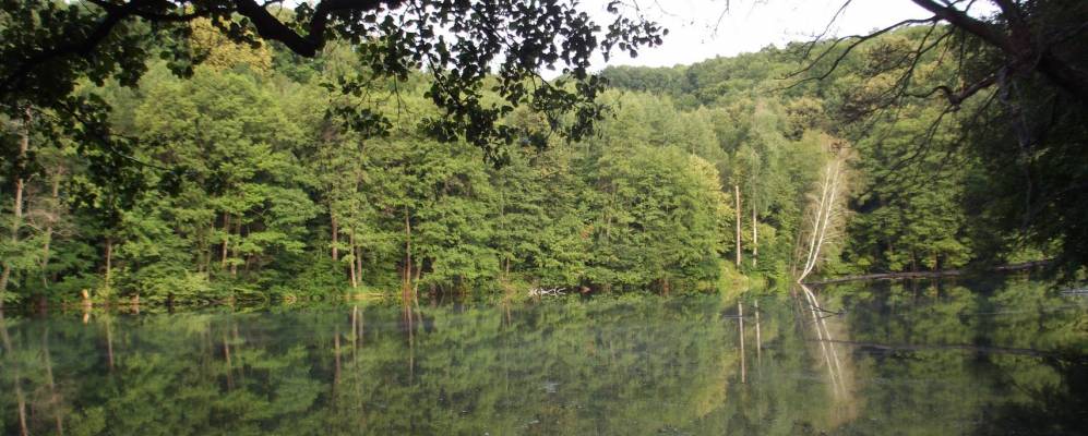 
            Фотография Межирича