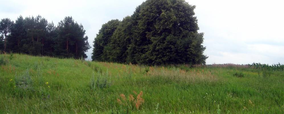 Фотография Рубчи