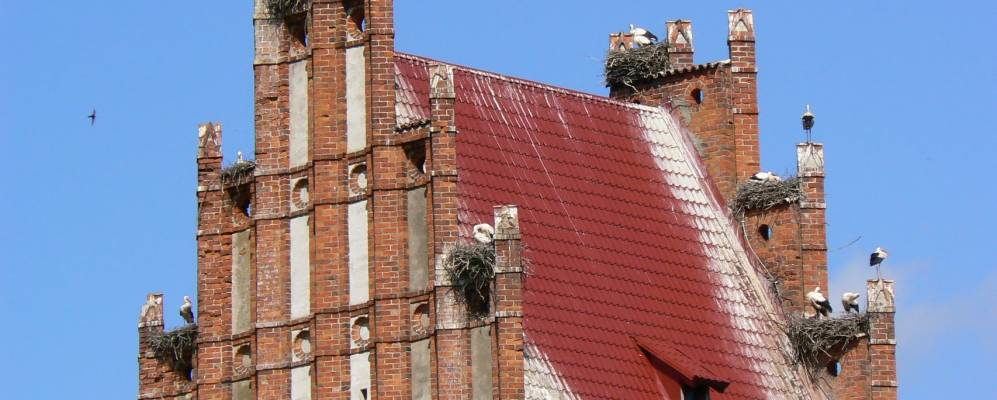 
            Фотография Дружбы