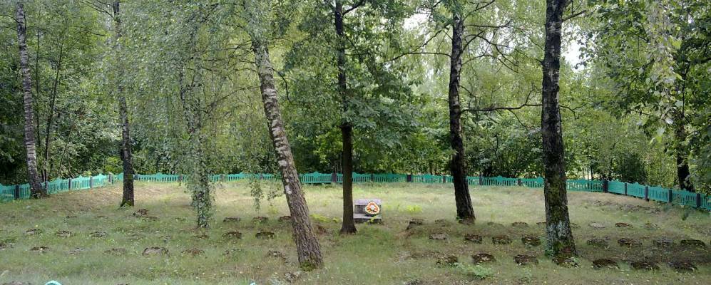 Фотография деревни Болота