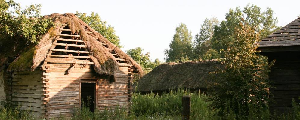 
            Фотография Спичеватого