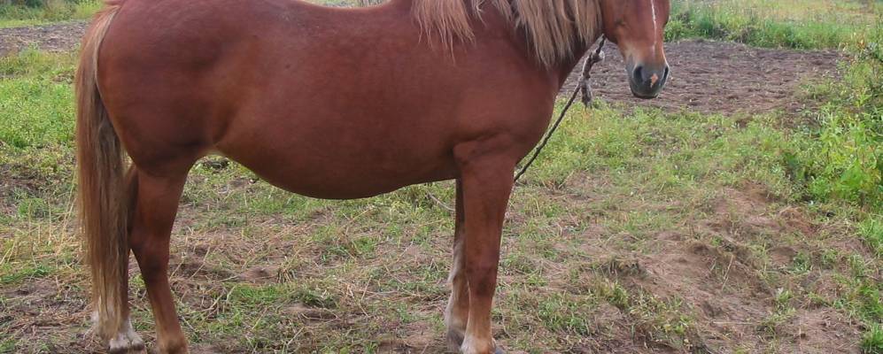 
            Фотография Усть-Пинеги