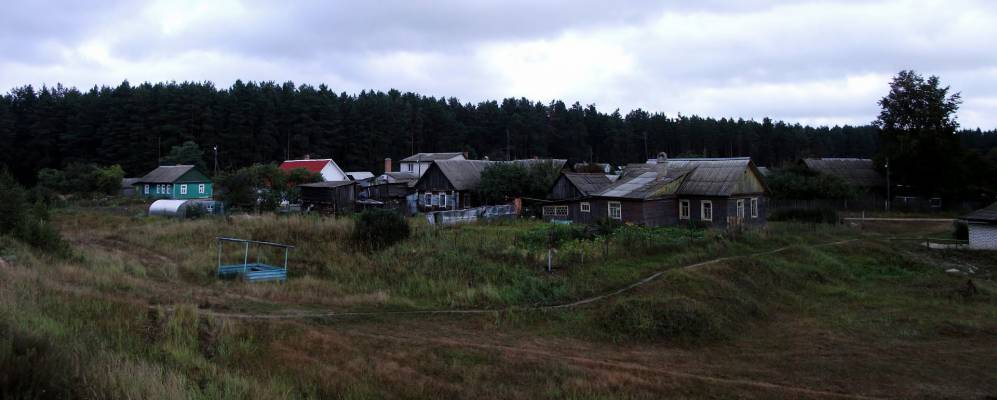 
            Фотография Похвального