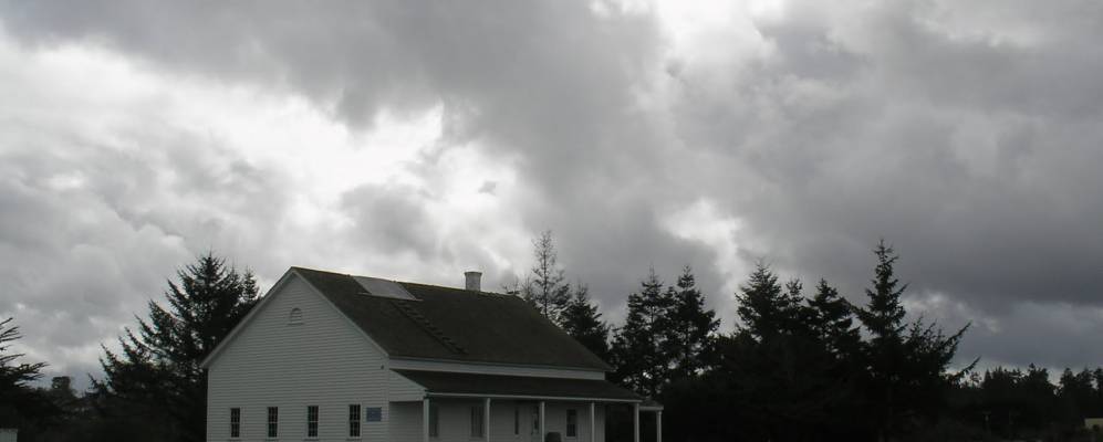 
            Фотография Бэйвива