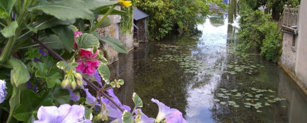 
            Фотография Луэ