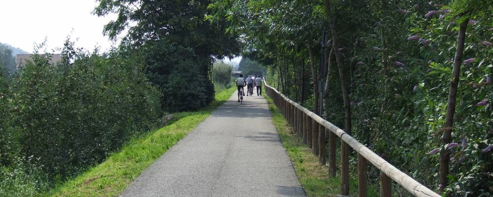 
            Фотография Пьатеды