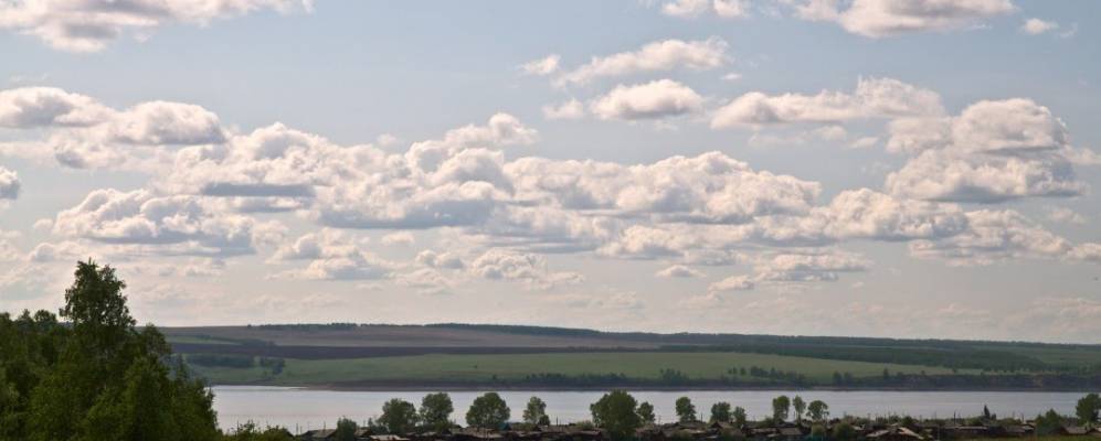 
            Фотография Донской