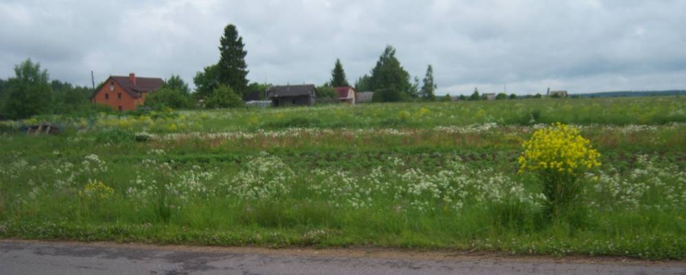 
            Фотография Эду