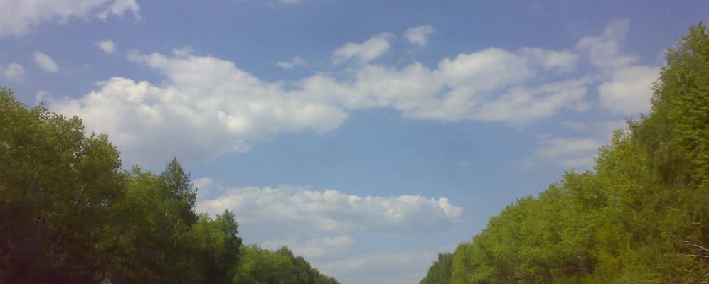 
            Фотография Лозова