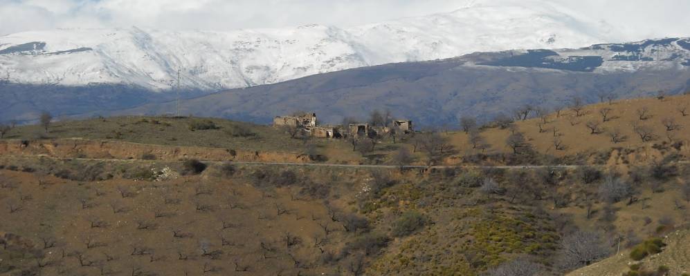 
            Фотография Муртас