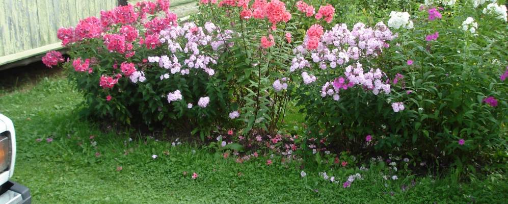 
            Фотография Головково