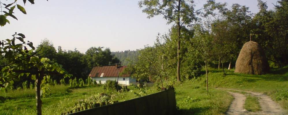 
            Фотография Костинцы