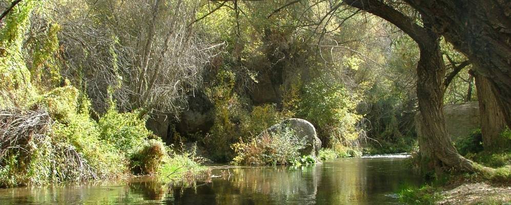 
            Фотография Ихлары