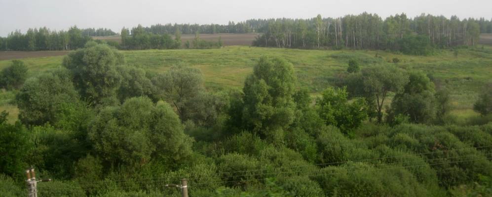 
            Фотография Апухтина