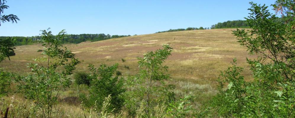 
            Фотография Поповки