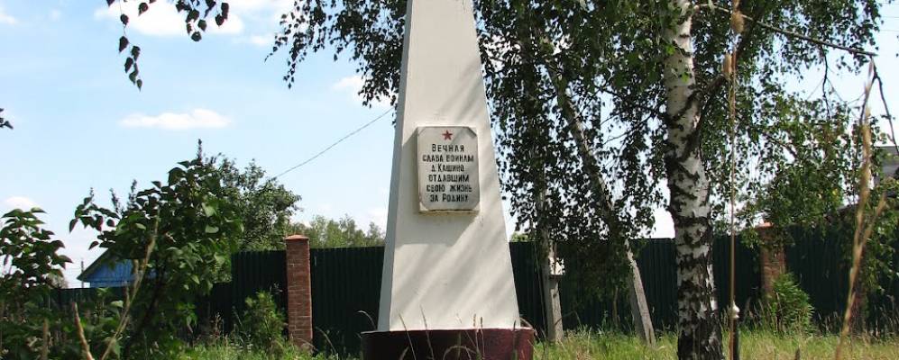 
            Фотография Кашино