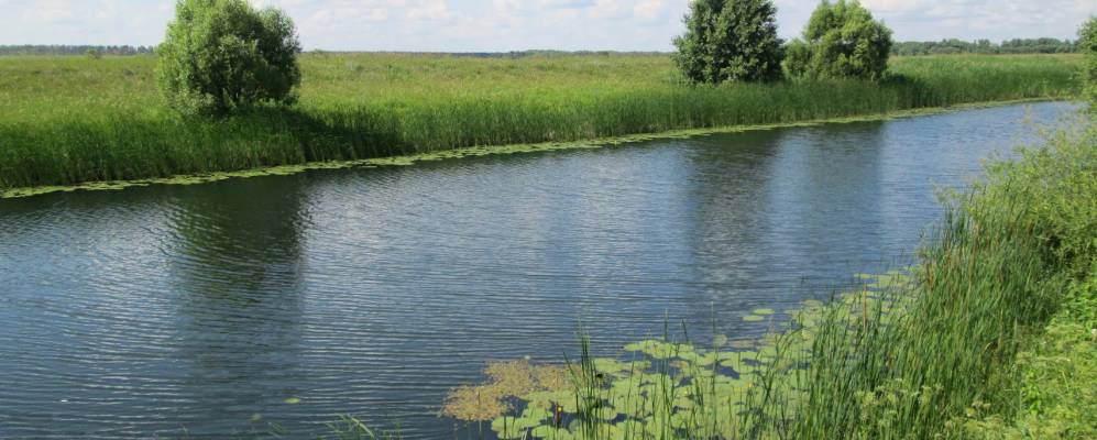 
            Фотография Сурчино