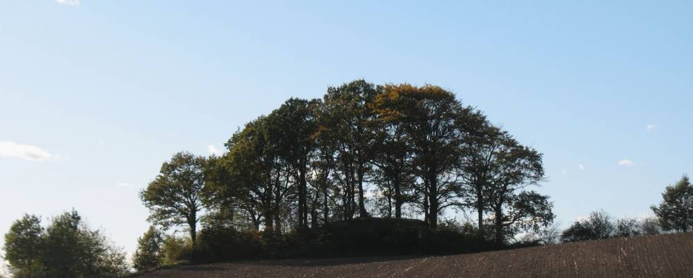 
            Фотография Бордесхольма