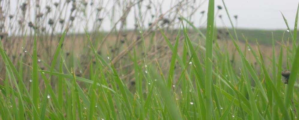 
            Фотография Красной Косы