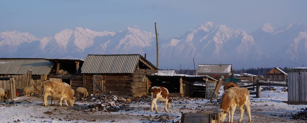 
            Фотография Шимки