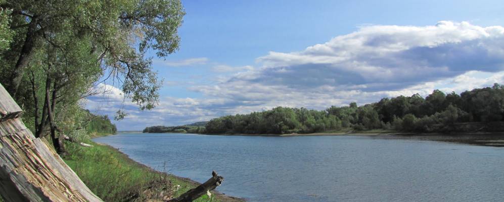 
            Фотография Сокольного