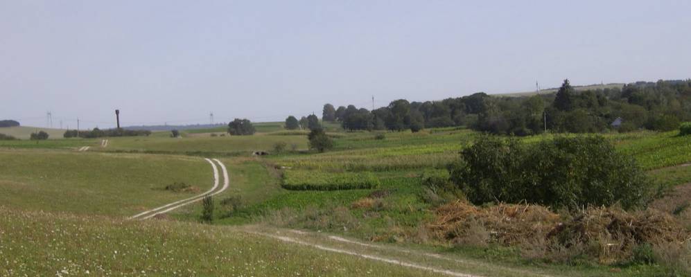 
            Фотография Малые Гайки