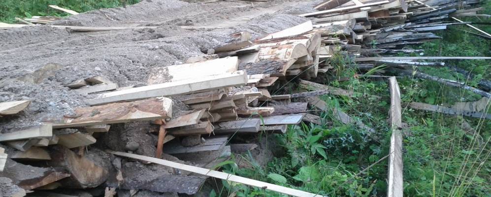 
            Фотография Гари