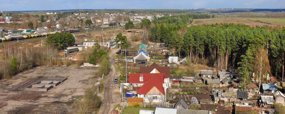 
            Фотография Гнездово