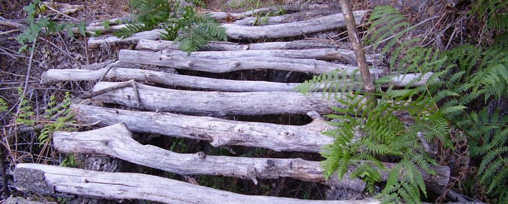 Фотография Хараис-де-ла-Вера