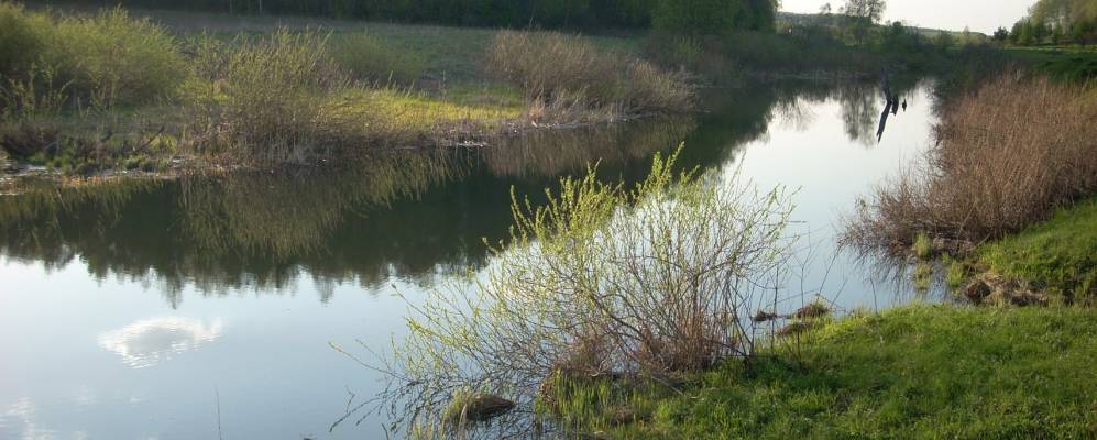 
            Фотография Золотухино