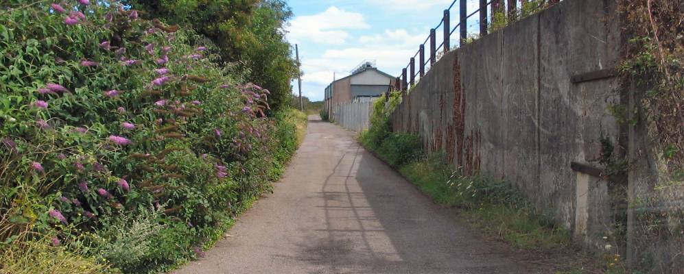 
            Фотография Рогита