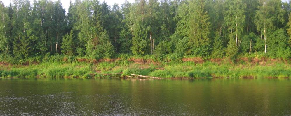 Фотография Маракулино