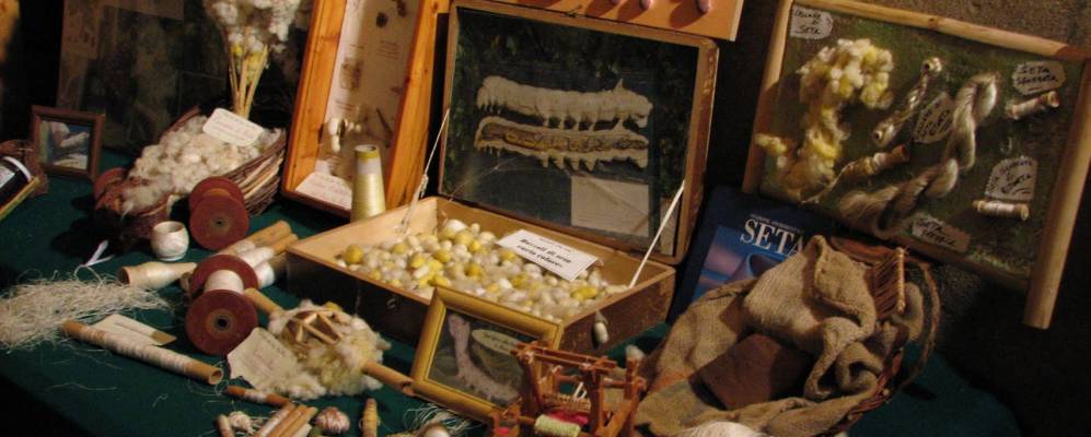 
            Фотография Борджы