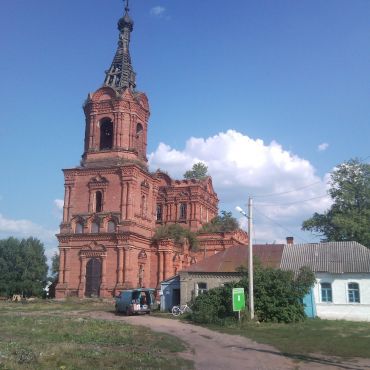 Алкужинские Борки