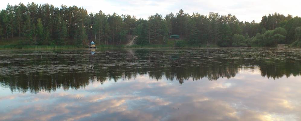 
            Фотография Сырницы