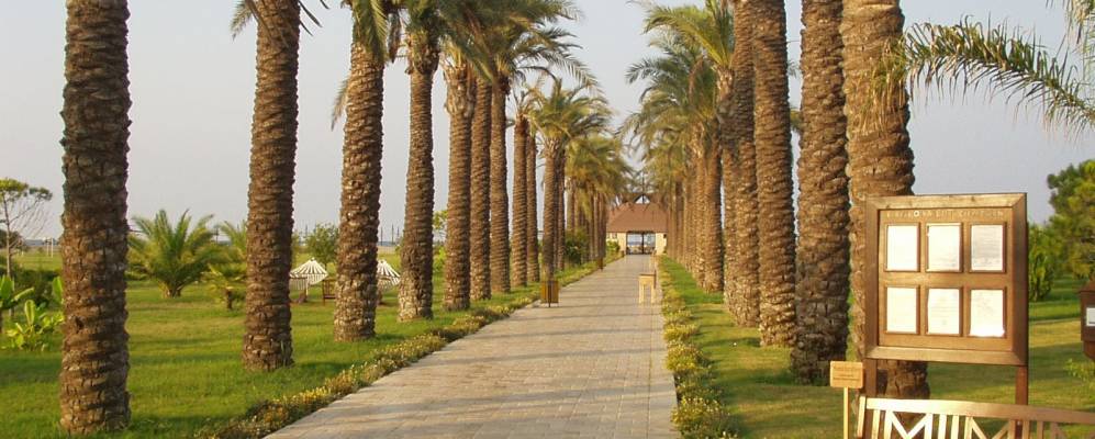 
            Фотография Кызылота