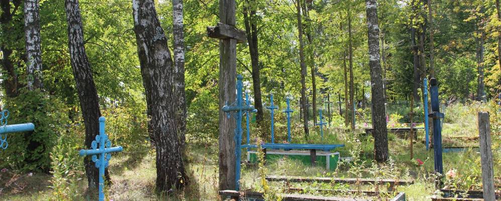 Фотография Лущевинки