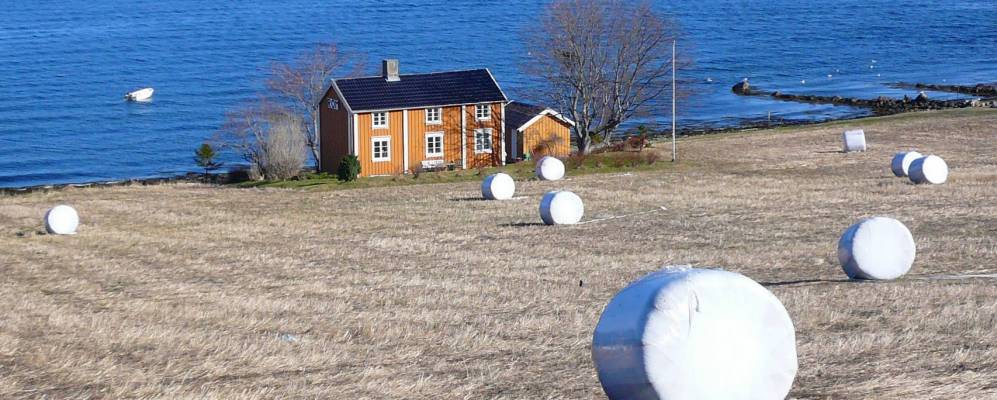 
            Фотография Виггжы