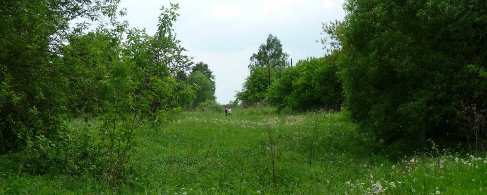 Фотография Граборовки