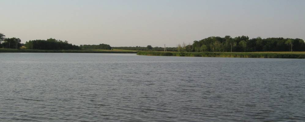 Фотография Малокомаровского