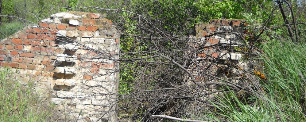 
            Фотография Культурного