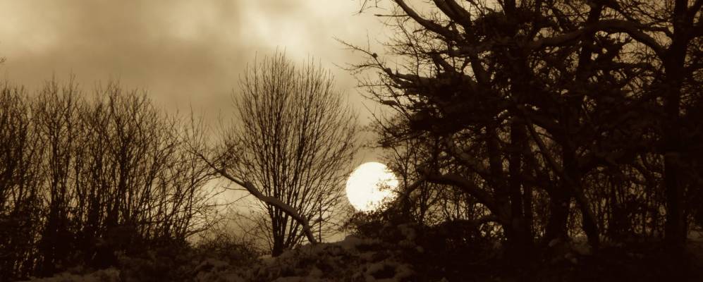 
            Фотография Марселла-Альбане