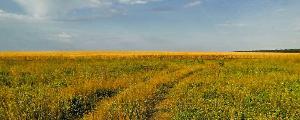 
            Фотография Рощенского
