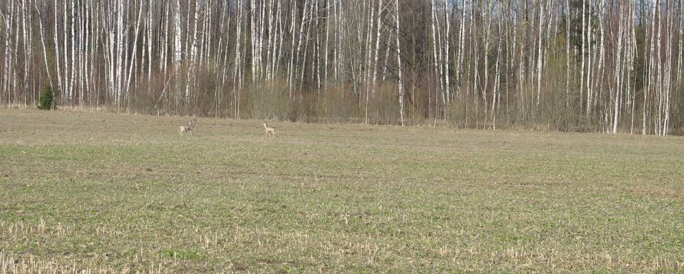 
            Фотография Морозовки