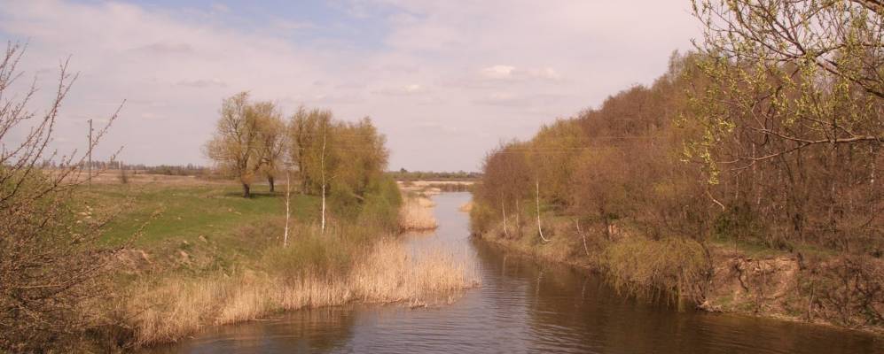 
            Фотография Клинцов