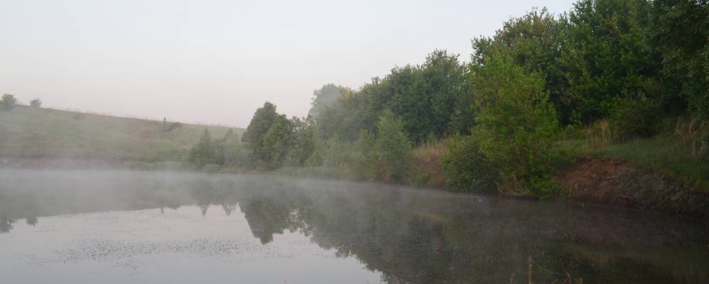 
            Фотография Станового