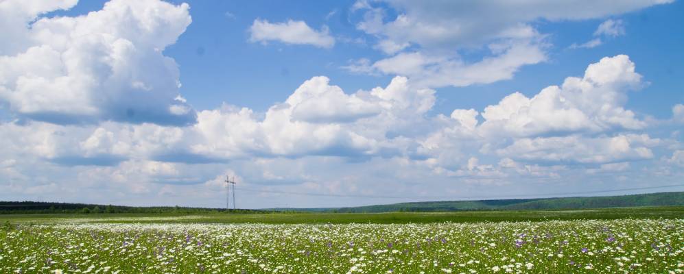 
            Фотография Знаменского Сюксюма
